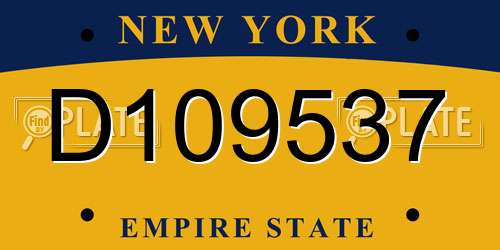 D109537 New York License Plate