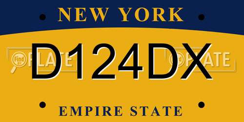 D124DX New York License Plate