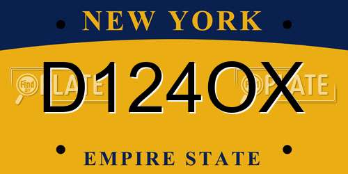 D124OX New York License Plate
