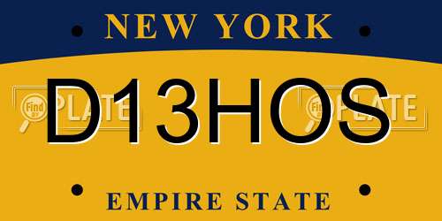 D13HOS New York License Plate