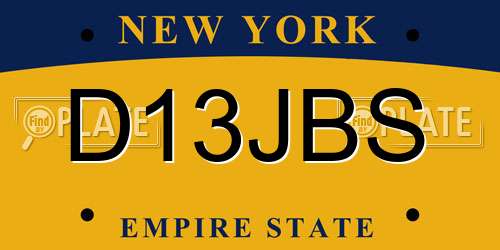 D13JBS New York License Plate