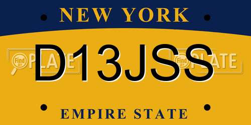 D13JSS New York License Plate