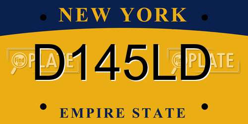 D145LD New York License Plate