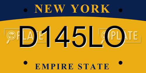 D145LO New York License Plate