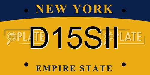 D15SII New York License Plate