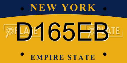 D165EB New York License Plate
