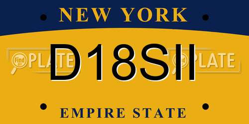 D18SII New York License Plate