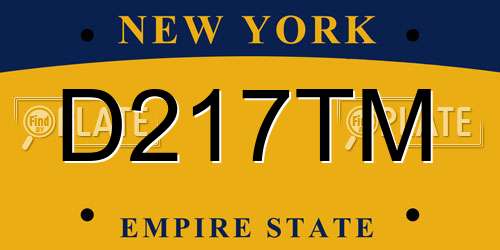 D217TM New York License Plate