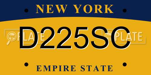 D225SC New York License Plate