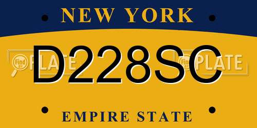 D228SC New York License Plate