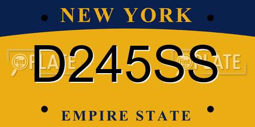 D245SS New York License Plate