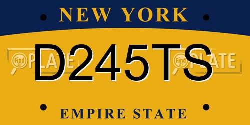 D245TS New York License Plate