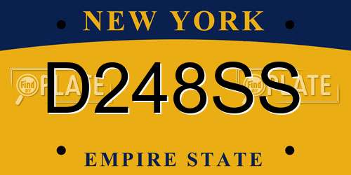 D248SS New York License Plate