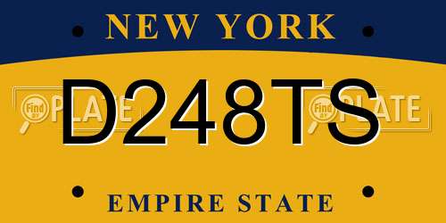 D248TS New York License Plate
