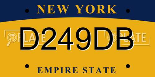 D249DB New York License Plate