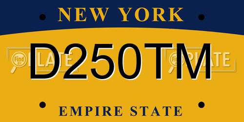 D250TM New York License Plate