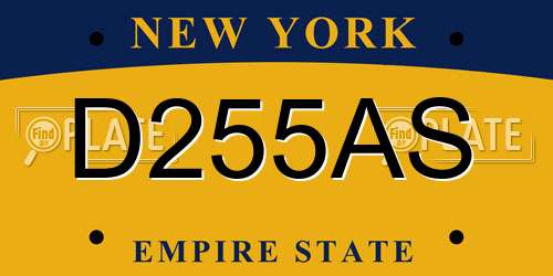 D255AS New York License Plate