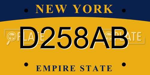 D258AB New York License Plate