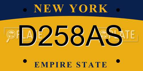 D258AS New York License Plate