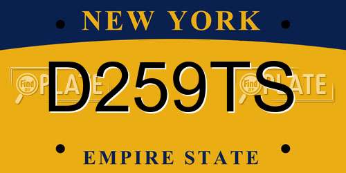 D259TS New York License Plate