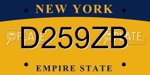D259ZB New York License Plate