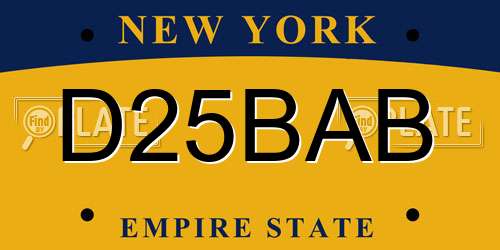 D25BAB New York License Plate