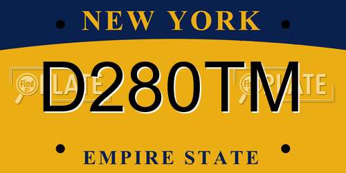 D280TM New York License Plate
