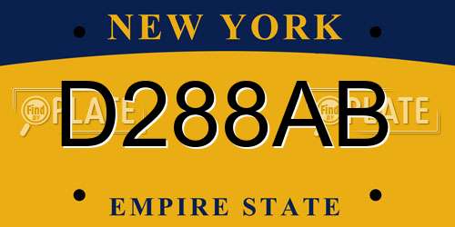 D288AB New York License Plate