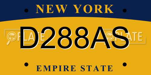 D288AS New York License Plate