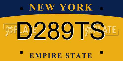 D289TS New York License Plate