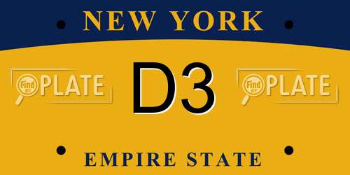 D3 New York License Plate