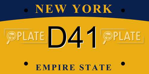 D41 New York License Plate
