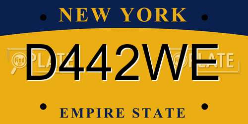 D442WE New York License Plate