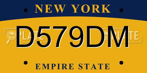 D579DM New York License Plate