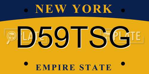D59TSG New York License Plate