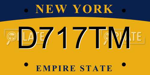 D717TM New York License Plate