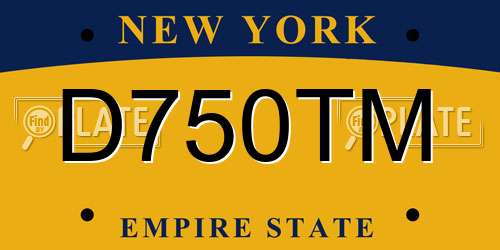 D750TM New York License Plate
