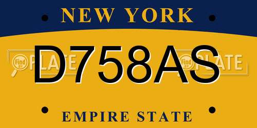 D758AS New York License Plate