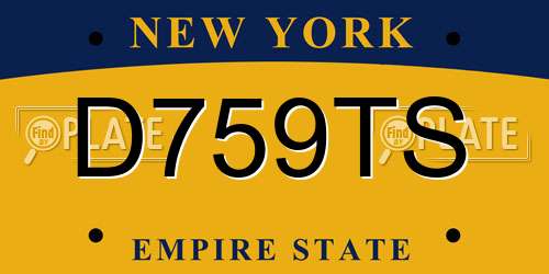 D759TS New York License Plate