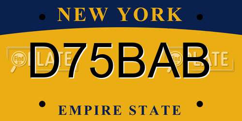 D75BAB New York License Plate