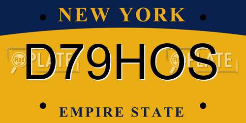 D79HOS New York License Plate