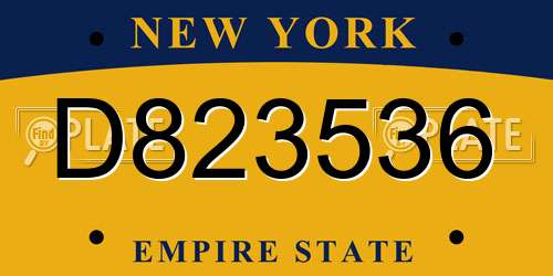 D823536 New York License Plate