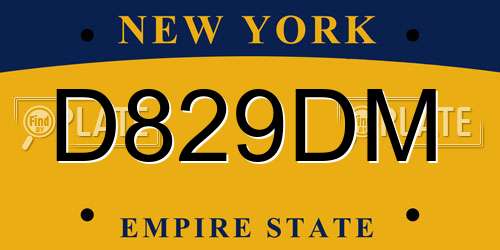 D829DM New York License Plate