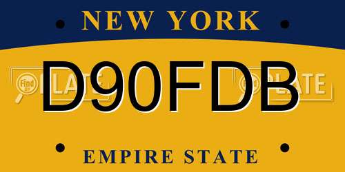 D90FDB New York License Plate