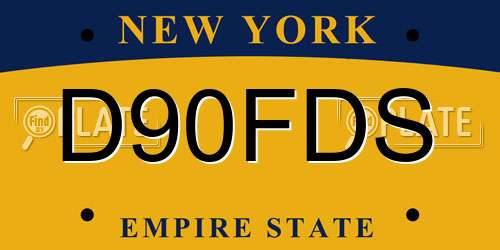 D90FDS New York License Plate