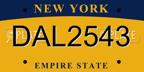 DAL2543 New York License Plate