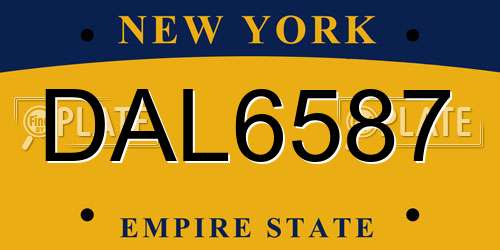DAL6587 New York License Plate
