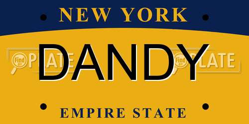 DANDY New York License Plate