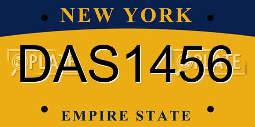 DAS1456 New York License Plate