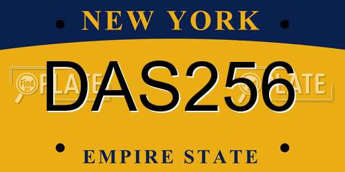 DAS256 New York License Plate